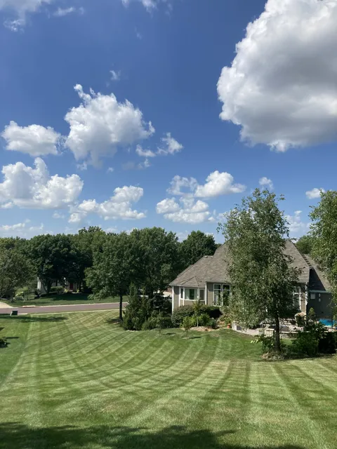 Professional lawn stripes